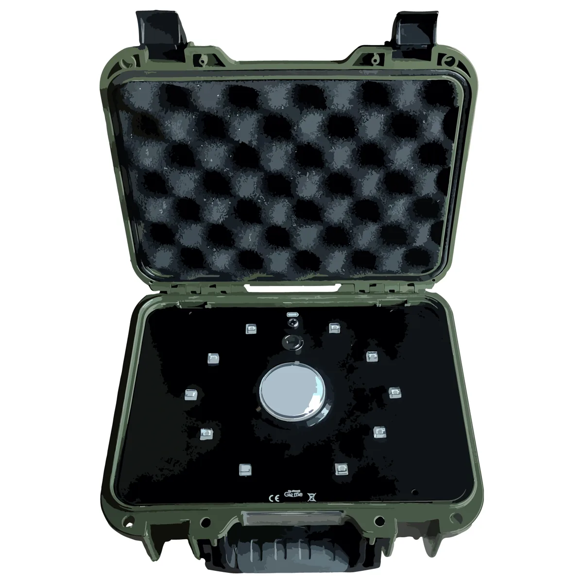 Professional Conquest Case